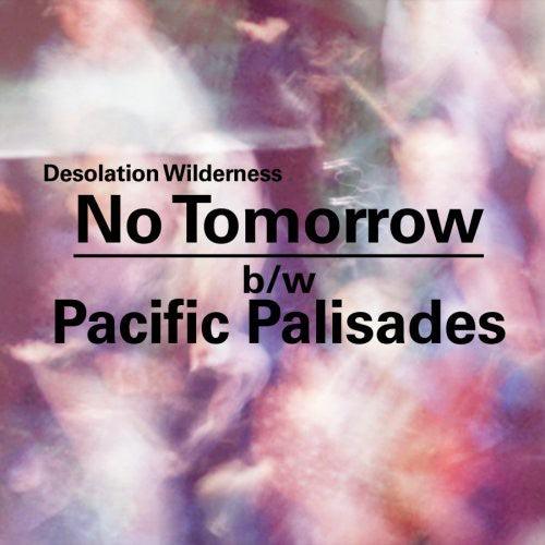 Desolation Wilderness- No Tomorrow/Pacific Palisades { vinyl }
