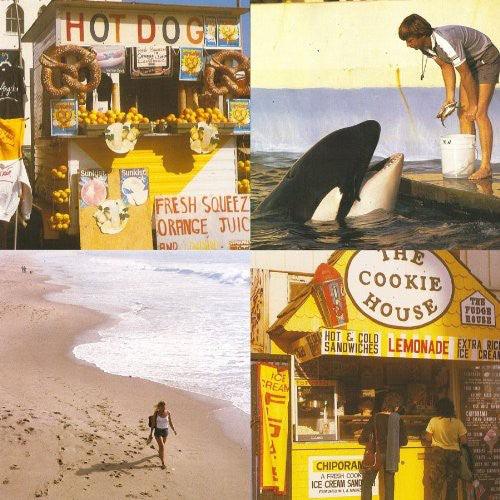 Best Coast- Something in the Way { vinyl }