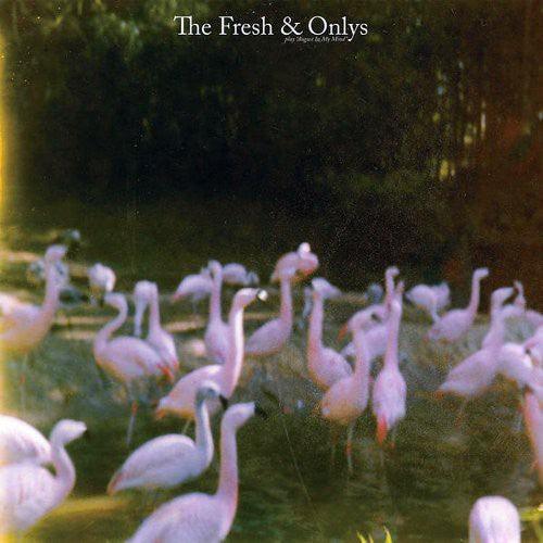 The Fresh & Onlys- August in My Mind { vinyl }
