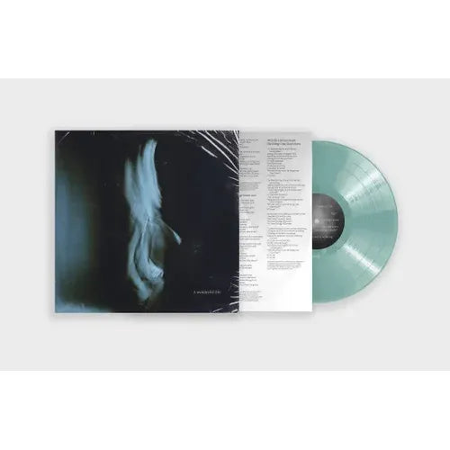 Tom Odell- A Wonderful Life (Indie Exclusive Vinyl)