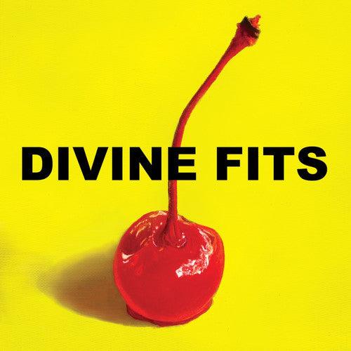 Divine Fits- A Thing Called Divine Fits { vinyl }