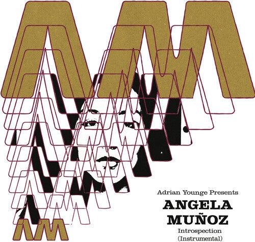Angela Munoz- Introspection (Instrumentals) { vinyl }
