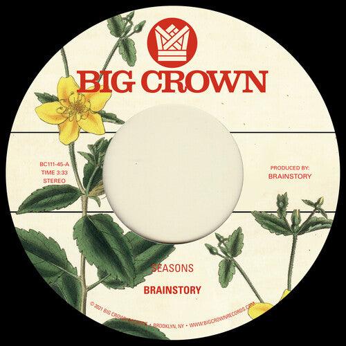 Brainstory- Seasons / Bye Bye { vinyl }