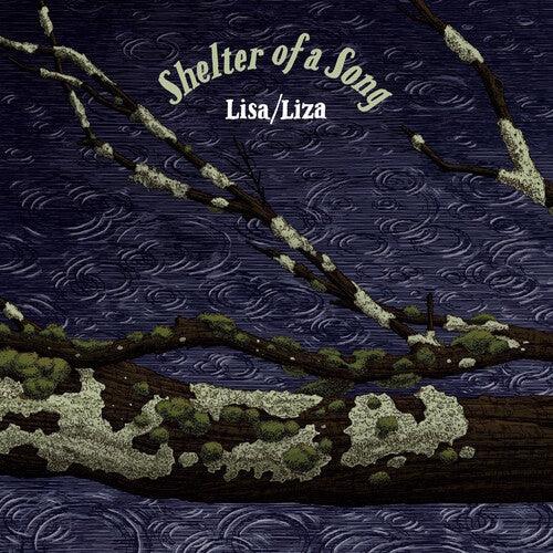 Shelter Of A Song { vinyl }