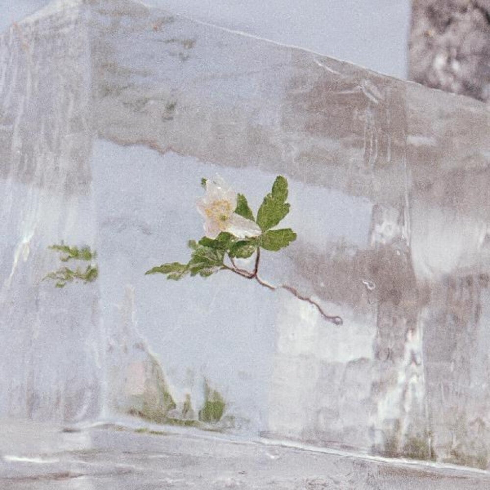 Efterklang- Windflowers { vinyl }