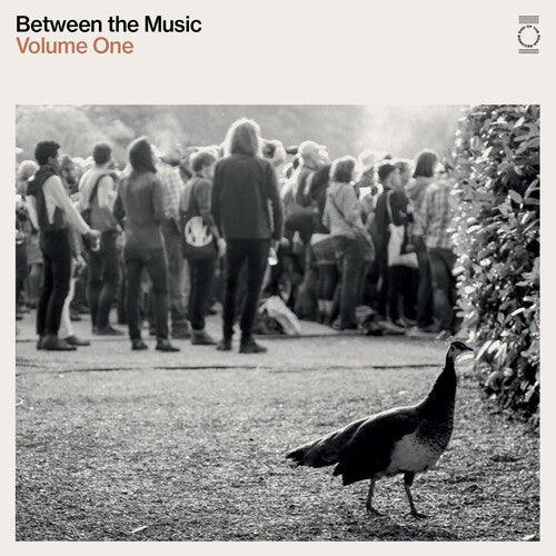 Various Artists- End Of The Road Presents: Between The Music / Var { vinyl }