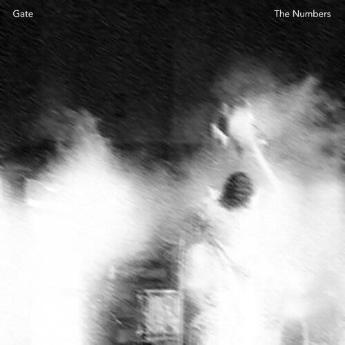 The Gate- The Numbers { vinyl }