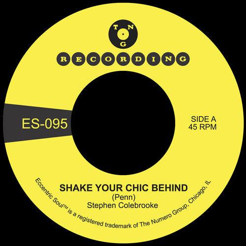 Stephen Colebrooke- Shake Your Chic Behind B/W Stay Away From Music { vinyl }