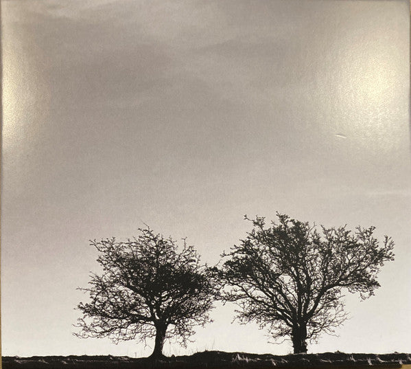Jon Allen- A Heightened Sense Of Everything { vinyl }