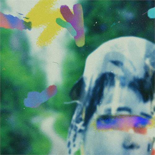 Team Me- Something In The Making { vinyl }