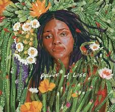 Joy Oladokun- Proof Of Life (Indie Exclusive Vinyl) (Signed Insert)