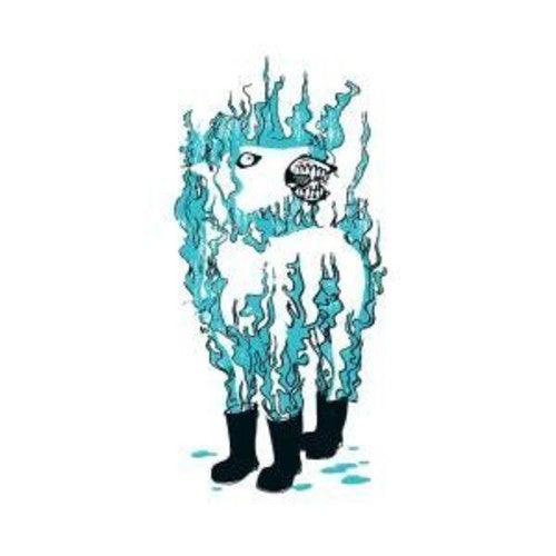 The Besnard Lakes- Casino Nanaimo { vinyl }