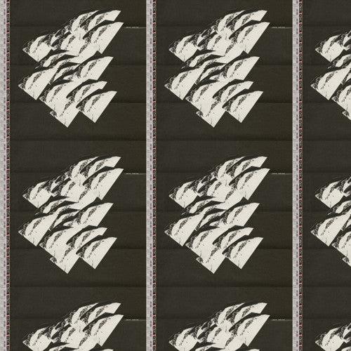 Hanz- Reducer { vinyl }