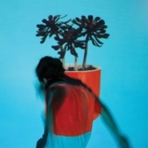 Local Natives- Sunlit Youth { vinyl }