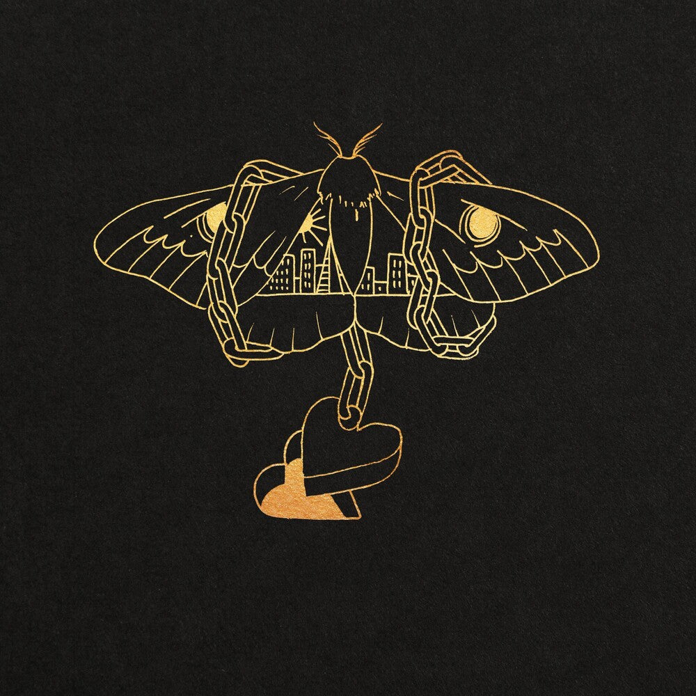 David Gray- Gold In A Brass Age [2LP] { vinyl }