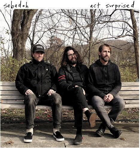 Sebadoh- Act Surprised { vinyl }