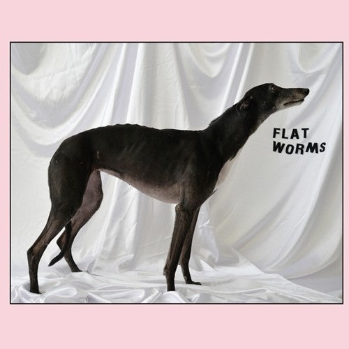 Flat Worms- Flat Worms { vinyl }