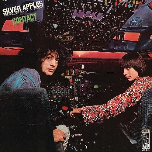 Silver Applies- Contact { vinyl }