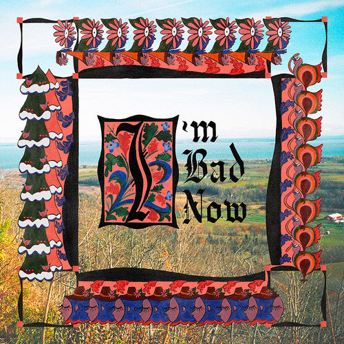 Nap Eyes- I'm Bad Now [LP] { vinyl }