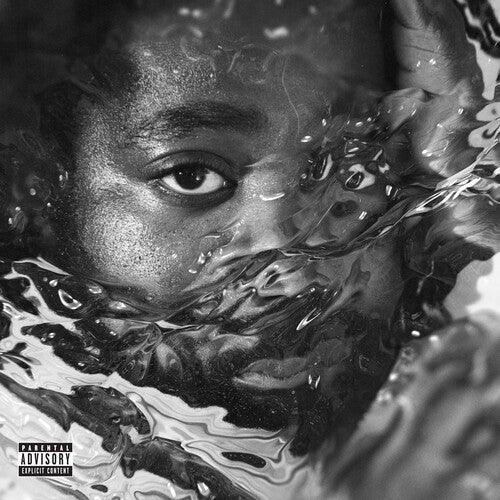R.LUM.R- Surfacing { vinyl }