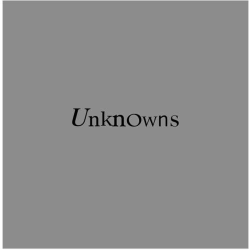 The Dead C- Unknowns { vinyl }