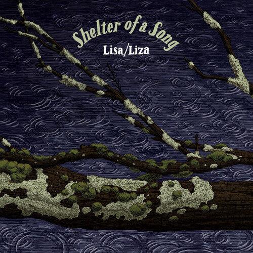 Shelter Of A Song { vinyl }