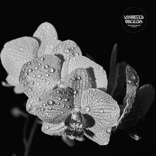 Assorted Orchids- Assorted Orchids { vinyl }