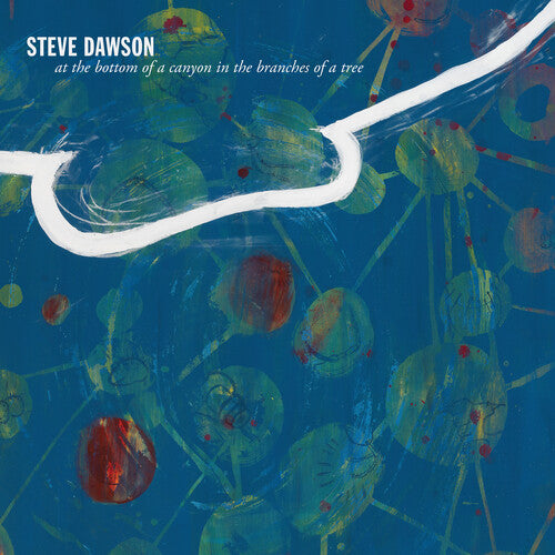 Steve Dawson- At The Bottom Of A Canyon In The Branches Of Tree { vinyl }