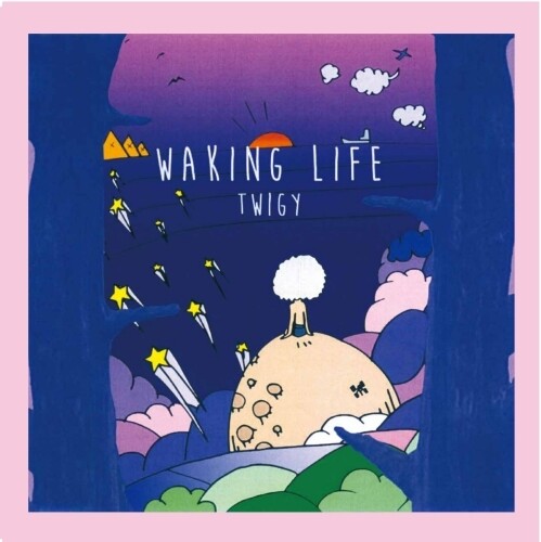 Twigy- Waking Life { vinyl }