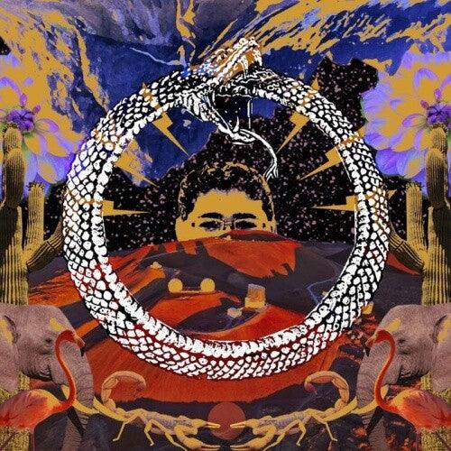 Stone House on Fire- Neverending Cycle { vinyl }