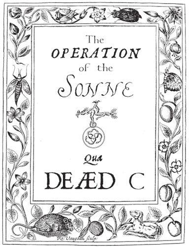 The Dead C- Operation Of The Sonne { vinyl }