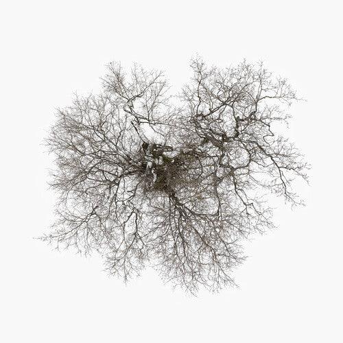 John Metcalfe- Tree { vinyl }
