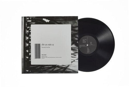 Pay Money to My Pain- After You Wake Up { vinyl }
