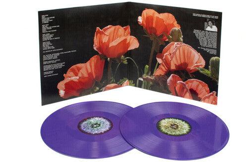 The Bevis Frond- Focus On Nature { vinyl }