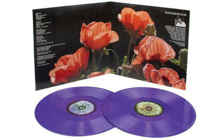 The Bevis Frond- Focus On Nature { vinyl }