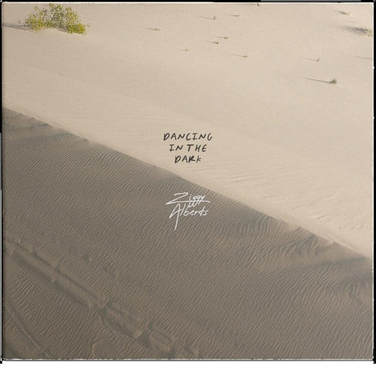 Ziggy Alberts- Dancing In The Dark { vinyl }