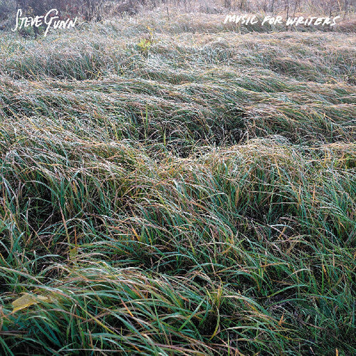 Steve Gunn- Music For Writers { vinyl }