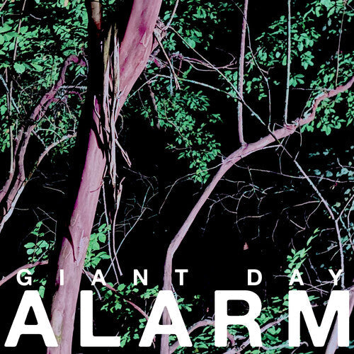 Giant Day- Alarm { vinyl }