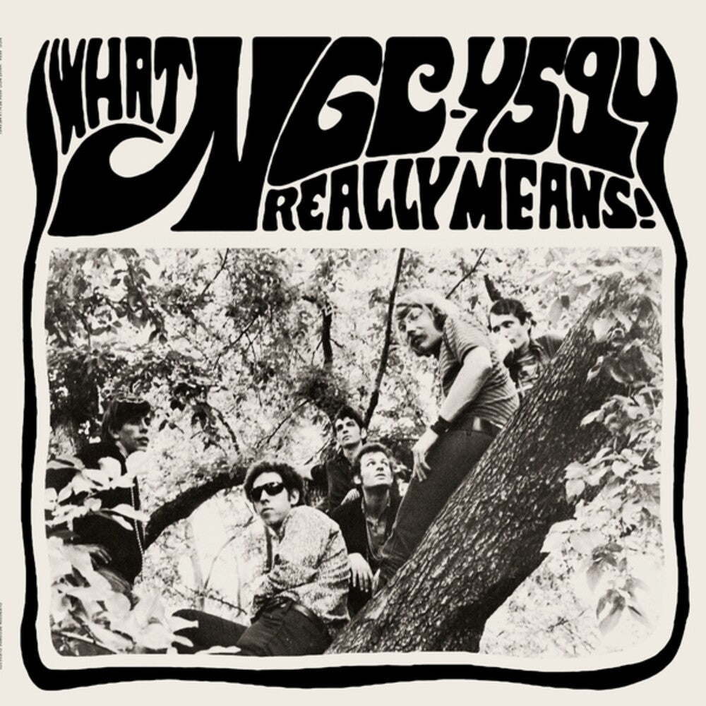 Ngc-4594- What Ngc-4594 Really Means { vinyl }