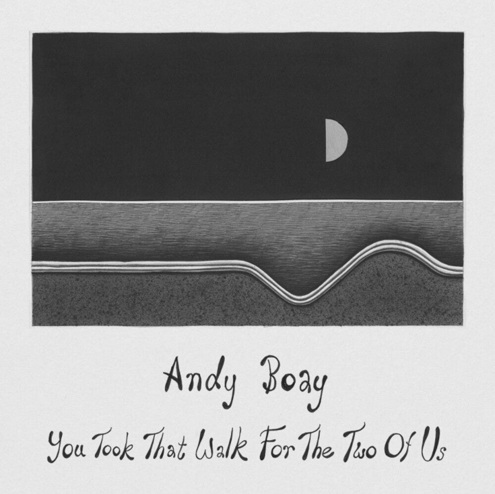 Andy Boay- You Took That Walk For The Two Of Us { vinyl }