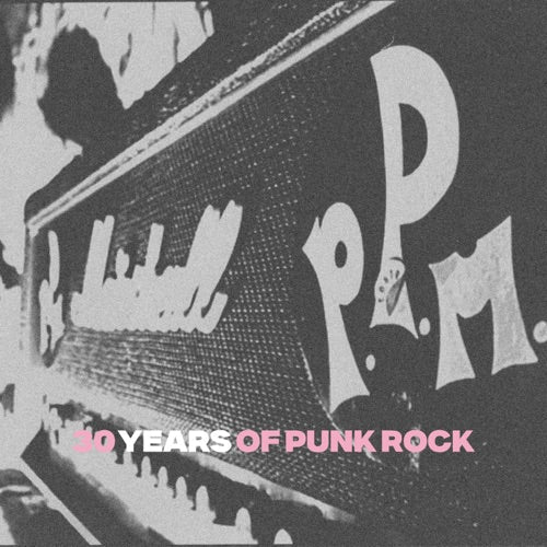 30 Years Of Punk Rock { vinyl }