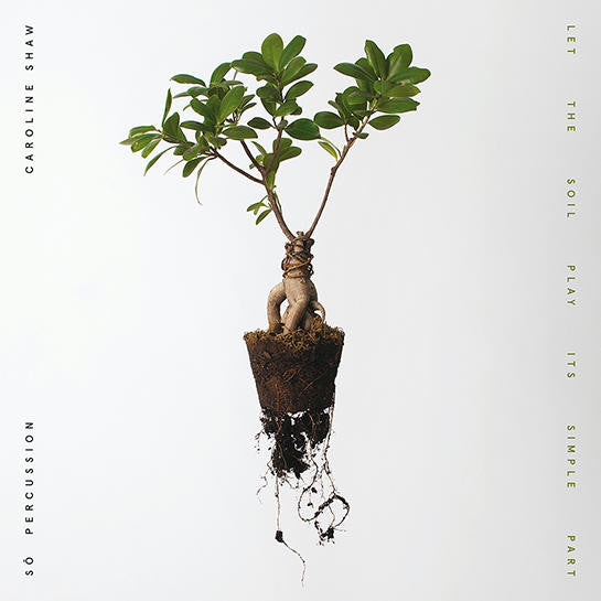 Let The Soil Play Its Simple Part { vinyl }