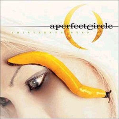 A Perfect Circle- Thirteenth Step { vinyl }